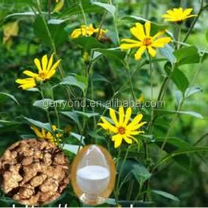 Multifunctional Production Line for Topinambur Inulin Fructose Synanthrin for Sale thumbnail-5