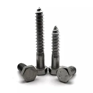 Custom Size Stainless Steel 304 DIN 571 Lag Bolts thumbnail-4