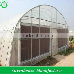 Agricultural Gothic Greenhouse thumbnail-1