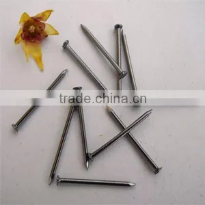 China Common Nails Factory Nail thumbnail-2