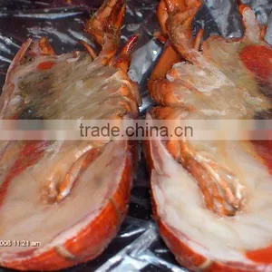 Frozen Cooked/raw Canadian Lobster (homarus Americanus) thumbnail-2