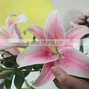 Colorful Best Selling High Quality Flowers Liliess thumbnail-1