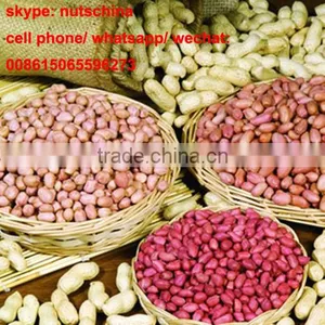 Groundnuts thumbnail-1