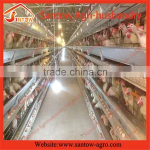 Stable Steel Structure Chicken Egg Layer Cage Broiler Breeder Farm thumbnail-4