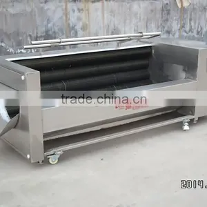 Fruit and Vegetable Processing Line thumbnail-6