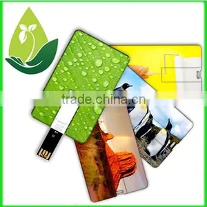 Free Sample!!!Usb Shell Card Shap,different Shell Usb Sizes thumbnail-2