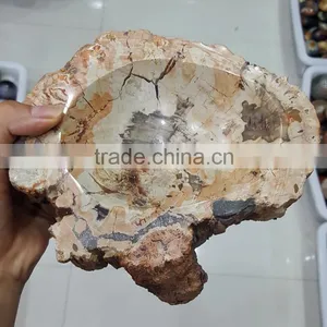 Petrified Wood Stone Fossil Ashtray thumbnail-2