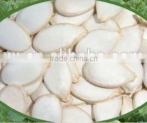 GWS Snow White Pumpkin Seeds Shine Skin Pumpkin Seeds Baked Pumpkin Seeds Recipe thumbnail-3