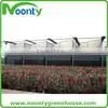 Tropical Greenhouse thumbnail-4