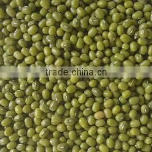 Yellow Mung Beans thumbnail-1