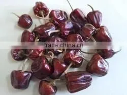 Mundu Red Chilles From India thumbnail-6