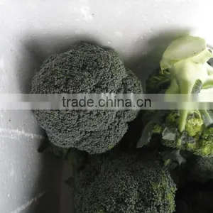 Fresh Broccoli thumbnail-1