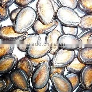 Water Melon Seeds thumbnail-4