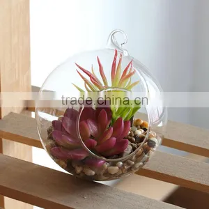Hanging Plant for House Decoration Plastic Glass Terrarium for Christmas and Home Decoration thumbnail-1