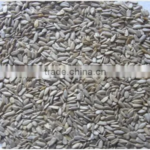 Raw Sunflower Kernels for Wholesaler thumbnail-1