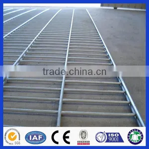 China Factory High Quality Welded Wire Mesh Panel/wall Building Mesh/reinforcing Mesh thumbnail-3