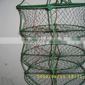 Pearl Growing Cage thumbnail-1