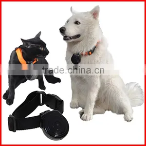 Digital Mini Pet Cam Camera Collar Video Trace DVR Monitor Behavior Dog Cats thumbnail-1