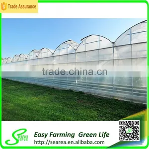 Agricultural Rodent Roof Green House for Flower thumbnail-2