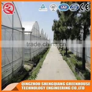 2017 China Plastic Tunnel Greenhouse Agriculture Made in China thumbnail-4