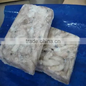 Frozen Baby Loligo Squid thumbnail-1