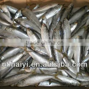 Small Size of Frozen Sardine for Canned thumbnail-1