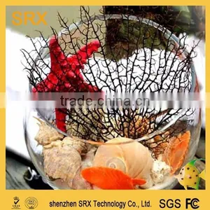 Small Plastic Fish Bowls Custom ,2015 Design Plastic Fish Bowls,2015 Small Design Plastic Fish Bowls thumbnail-1