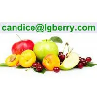 Wholesale 100% Superfruit Blends thumbnail-1