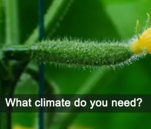 Hebei Lauren Agriculture Technology Co., Ltd company overview - view 2 thumbnail