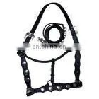 Leather Halter Wiith Chain Lead. thumbnail-1