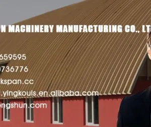 Yingkou Longshun Machinery Manufacturing Co., Ltd company overview - view 2 thumbnail