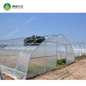Hot Sale Commercial Polycarbonale Small Single Span Greenhouse thumbnail-5