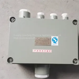 BXJ51 200 200 90 300 300 140 Zeng 'an Explosion-proof Junction Box Terminal Box Distribution Box thumbnail-2