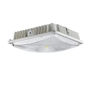Outdoor IP65-Rated 50W Led Canopy Light Fixtures, 100-240VAC/277vac, 120 LPW, 5yrs Warranty thumbnail-1