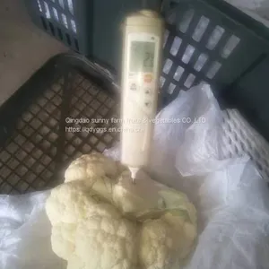 Fresh Cauliflower thumbnail-2