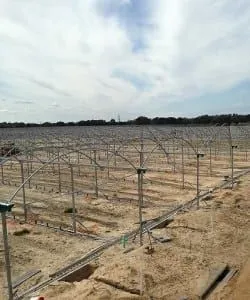 Multi-Span Greenhouse for Agricultural Greenhouse thumbnail-1