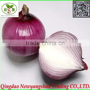 (CHINA RED ONION OFFER ) Red Onion /Fresh Onion thumbnail-3