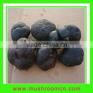 Fresh Organic Tuber Truffle thumbnail-1