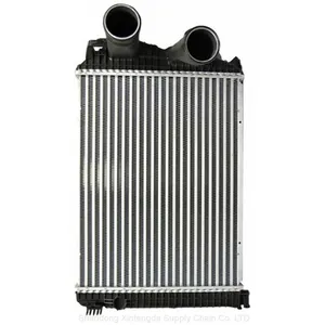 OEM 9705010101 A9705010101 Truck Parts Aluminum Intercooler With Quality Warranty Used for Mercedes Benz thumbnail-1