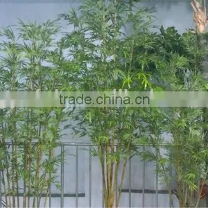 High Quality Fake/Artificial Bamboo Tree/artificial Bamboo Plant thumbnail-1