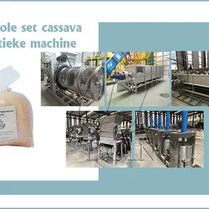 New Condition Cassava Attieke Processing Units Cassava Processing Machine Boyeur-Epucheur for Attieke Production for Sale thumbnail-3
