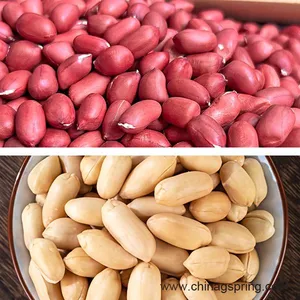 Industrial Dry Peeler Machine Nuts Peeling Machine Automatic Nuts Peanut Skin Removing Machine for Food Processing thumbnail-4