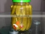 Selling Cheap Price of GHERKINS IN BRINE thumbnail-1