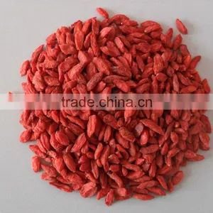 2015.2016Chinese Ningxia Goji Berry thumbnail-5