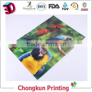 OEM High Definition 3D Lenticular Picture thumbnail-1