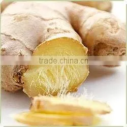 Ginger Oil Pure thumbnail-1