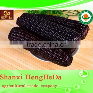2015 2014 China Supplier Machine Cleaned Yellow Corn thumbnail-2