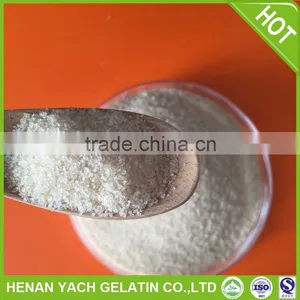 Gelatin 250 Bloom for Hard Caspule thumbnail-1