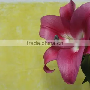 Reasonable Price New Coming Lily Flower From Kunming thumbnail-2
