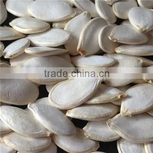 Best Quality Raw Pumpkin Seeds thumbnail-1